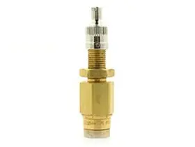21633 AIR LIFT Push Connect Inflation Valve