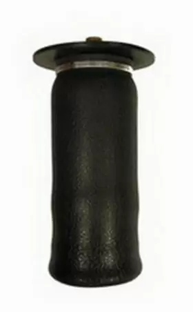 50203 AIR LIFT Ride Control Spring