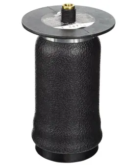 50266 AIR LIFT Spring