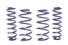 54855 H-R Lift Springs 2WD Volkswagen Adventure Tiguan