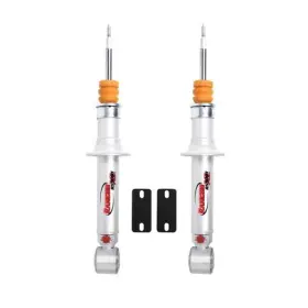 RS66305R9 MONROE Level