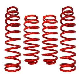 170107-404500 RAPTOR SERIES Rso Coil Springs Lift Front Rear