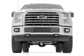 54540 ROUGH COUNTRY Lift Struts Kit M1 F-150 4WD Ford #3