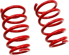 13155310AA-SET ROUSH Nos Coil Suspension Spring Ford Mustang