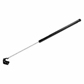 4840 STRONGARM Driver Liftgate Lift