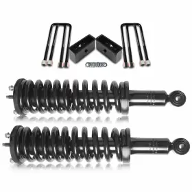 11789106 WELLSTOREHERE Rear Leveling Front Struts Kit Toyota