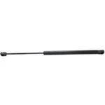 For Dodge Ram 1500 2009 2010 Hood Lift Support. Fixed Price $38.23.