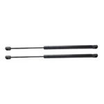 For Dodge Ram 1500 2009 2010 Hood Lift Support Driver And Passenger Side Pair. Fixed Price $59.90.
