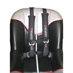 Beard Safety Harness 2x2 With Pads And Auto Style Buckle 880-220-02. Fixed Price $104.57.
