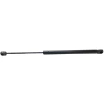 Lift Support For 2009-2010 Dodge Ram 1500 Hood Driver Or Passenger Side. Fixed Price $18.89.