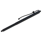 Buyautoparts Liftgate Lift Support M9-40202an. Fixed Price $215.41.