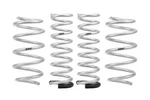 Eibach E30-77-010-04-22. Fixed Price $399.00.