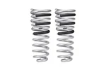 Eibach 4th Gen For Ram 2500 Pro Lift Kit Hd Rear Springs. Fixed Price $399.00.
