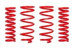 Eibach E30-82-071-03-22 Pro-lift Springs Frt Rr. Fixed Price $490.00.
