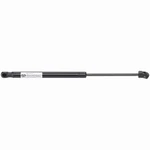 Right Passenger Hood Lift Support Fits 16-23 Nissan Maxima Ni1237111. Fixed Price $34.60.