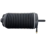 Air Spring Shock And Strut Rear Passenger Right Side Hand For Porsche Macan. Fixed Price $151.58.