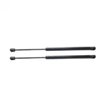 For Dodge Ram 1500 2009 2010 Lift Supports Driver And Passenger Side Pair. Fixed Price $40.47.