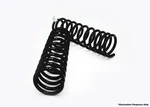 Dobinsons Coil Spring Pair (black) (c29-151b). Fixed Price $300.00.