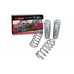 Eibach For Gmc Canyon 2015-2017 Pro-truck Lift Kit Shocks Included. Fixed Price $1142.31.