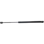 For Dodge Ram 1500 2009 2010 Hood Lift Support Driver Or Passenger Side Steel. Fixed Price $32.07.