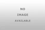 Fabtech Motorsports Ft83157 Bushings. Fixed Price $15.82.