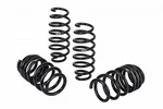 Eibach E30-35-066-01-20 Hd Pro-lift-kit Front Springs For 2024-2025 Ford Ranger. Fixed Price $299.00.