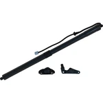 Buyautoparts Liftgate Lift Support M9-40234an. Fixed Price $180.41.