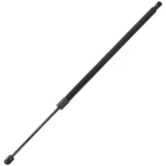For Honda Odyssey 2005 2006 2007 2008 2009 2010 Tailgate Lift Support Gap. Fixed Price $31.41.