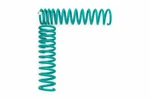 Dobinsons C59-314 Coil Spring Pair. Fixed Price $301.28.