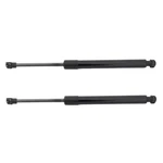 For Bmw 230i/230i Xdrive 2017-2021 Lift Supports Driver And Passenger Side Pair. Fixed Price $45.24.