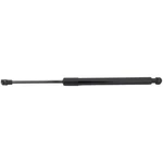 Lift Support For 2016-2021 Bmw M2 Driver Or Passenger Side. Fixed Price $10.68.